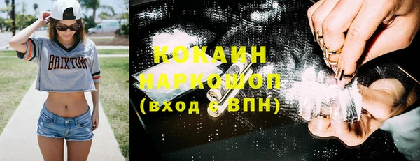 трава Белокуриха