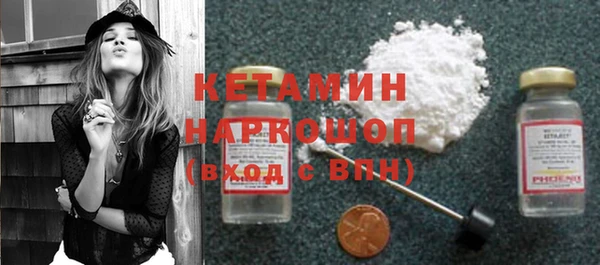 трава Белокуриха