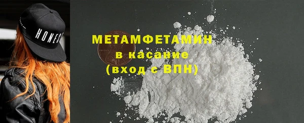 трава Белокуриха