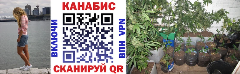 Марихуана White Widow  купить наркоту  Радужный 
